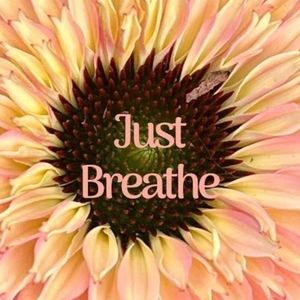 Meet your Posher, Jc